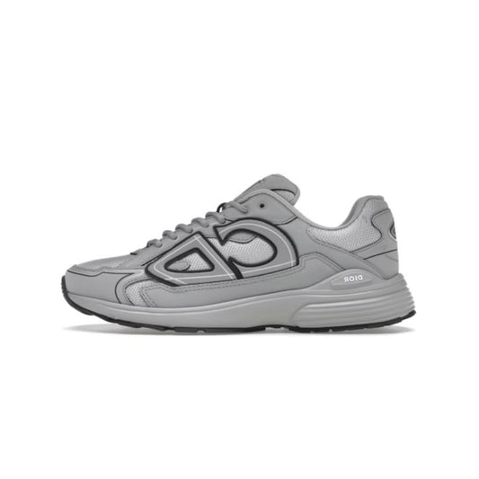 Dior B30 Gray